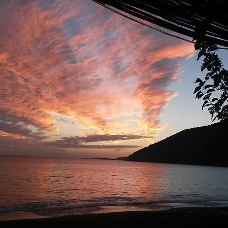 Oda ve Kahvaltı Vino *