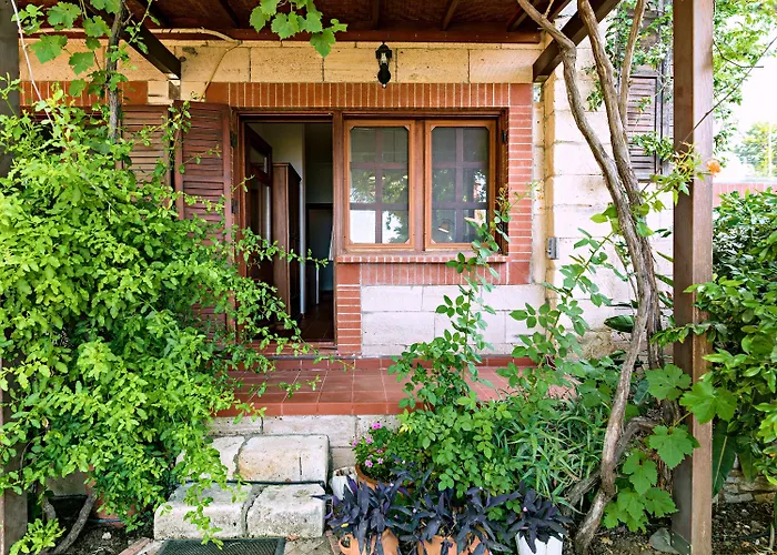 Vino Bed & Breakfast