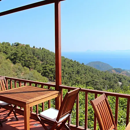 Bed and breakfast Vino