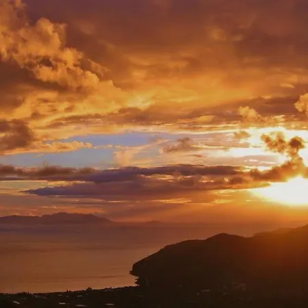 Vino Mesudiye (Datca)