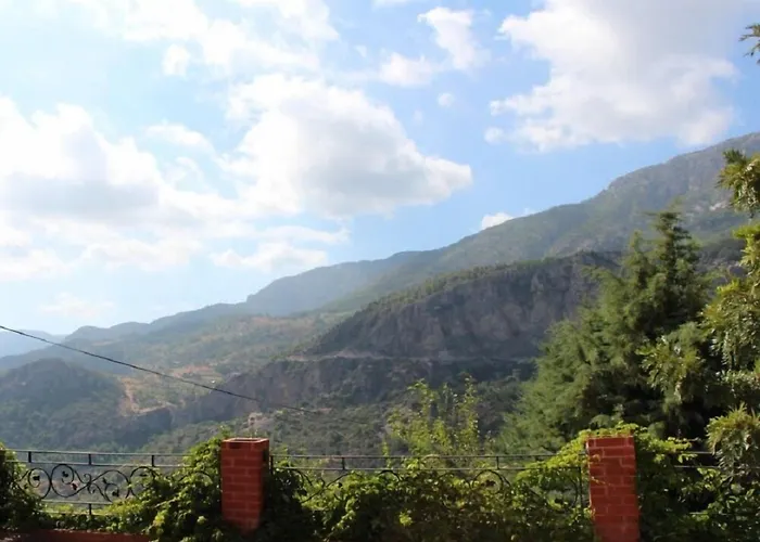 Vino Отель типа 