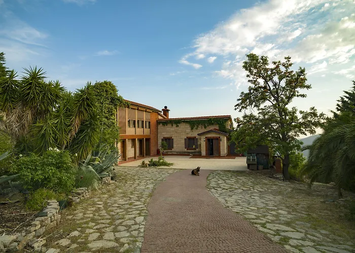 Vino Отель типа 