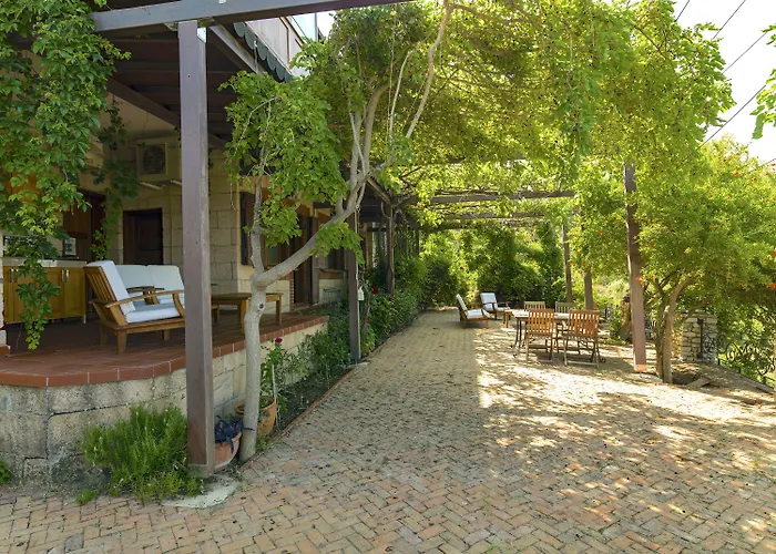 Vino Отель типа 