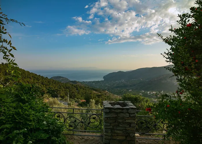 Vino Отель типа 